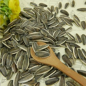 Graines <span class=keywords><strong>de</strong></span> <span class=keywords><strong>tournesol</strong></span> <span class=keywords><strong>pour</strong></span> <span class=keywords><strong>oiseaux</strong></span> à vendre - Product Image 4