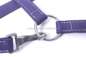 PVC fantaisie coloré cheval licols pour un cheval - Product Image 3