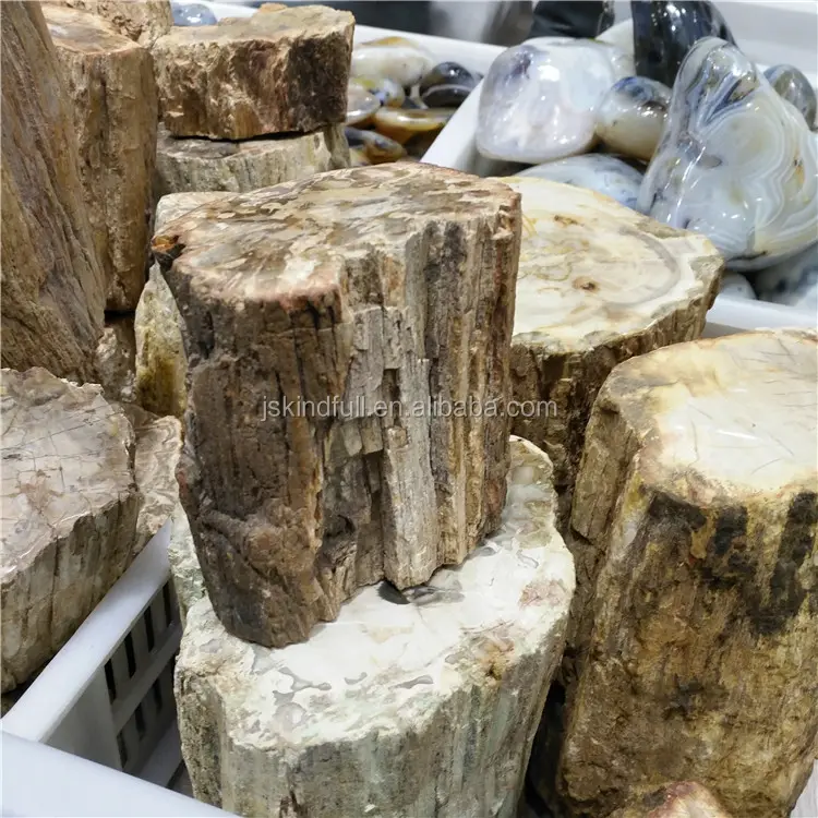 טבעי רוק באיכות גבוהה מאובנים עץ קריסטל אבנים למכירה