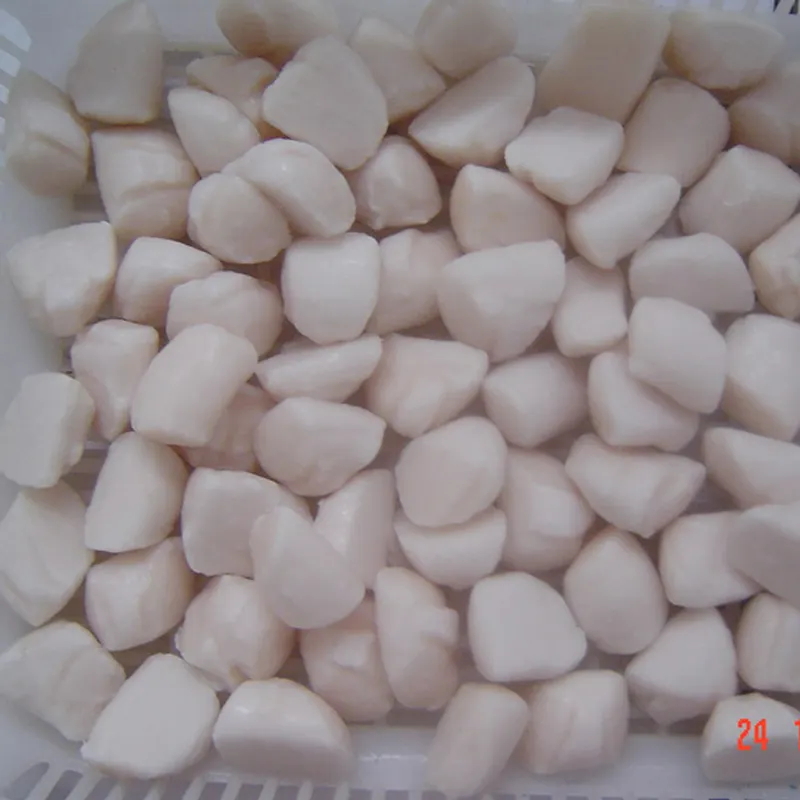 Frozen Scallop 40 60