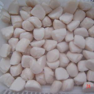 Sò Điệp Đông Lạnh 40 60 - Product Image 1