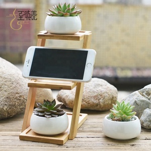 Proveedor de China flor <span class=keywords><strong>estante</strong></span> <span class=keywords><strong>para</strong></span> la siembra de plantas suculentas - Product Image 3