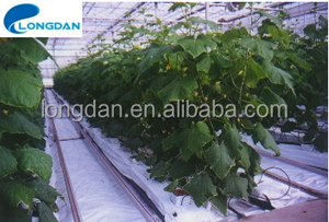 Goedkope Prijs Hydrocultuur <span class=keywords><strong>Rock</strong></span> Wol Blokken Voor Landbouw Greenhouse - Product Image 5