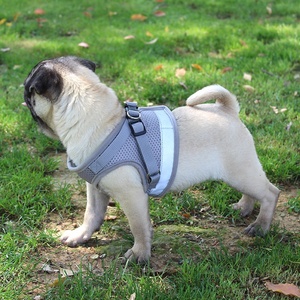 Gran oferta, nuevo estilo, chaleco, correas de pecho, arnés reflectante para perros, arnés de correa de seguridad transpirable de Color sólido para perros