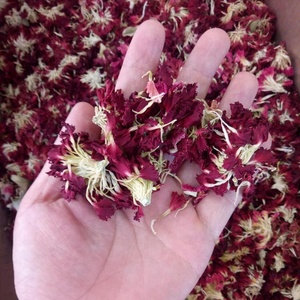 Hotsale Naturel Véritable Oeillet Bourgeons Séché Pur Blooming Thé Rouge Oeillet Fleurs Pétales à Vendre