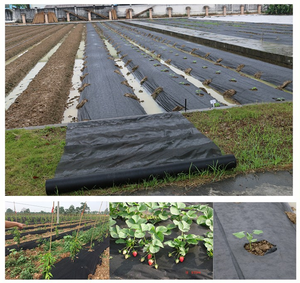 Многослойная пленка/покрытие для защиты растений от мороза/заземляющий барьер для сорняков, нетканый материал для сельского хозяйства - Product Image 4