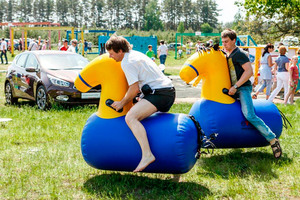 <span class=keywords><strong>Comercial</strong></span> adultos pony lúpulo ciclo inflable animal con SPH juego - Product Image 1