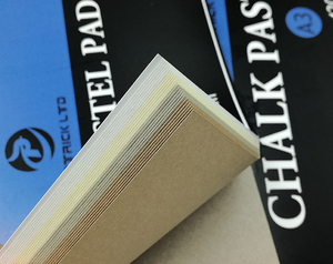 Cpatrick Glue Bound 24 Sheets 180gsm Assorted Colors <strong>Pastel</strong> Paper Pad for Artist <strong>Chalk</strong> Painting