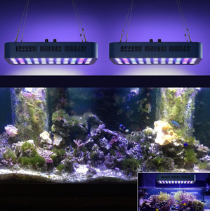 Proveedor de Shenzhen, luces <span class=keywords><strong>led</strong></span> de acuario de 36 y <span class=keywords><strong>72</strong></span> pulgadas, 165W, para acuario de peceras