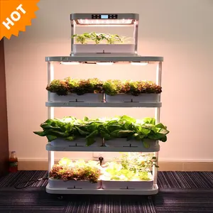 Trong Nhà Nuôi EXSIPS Nhà Máy Đứng Aquaponics Dâu Tây Thủy Canh Phát Triển Hệ Thống