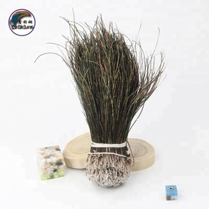 6-8 inch (15-20 cm) थोक भव्य प्राकृतिक Filamentous मोर पंख के लिए सजावट
