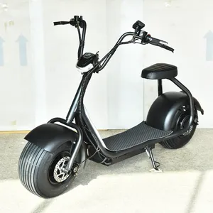 Cityscoter 摩托车/城市可可电动自行车