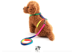 Kalung Anjing 7 Warna <span class=keywords><strong>Pp</strong></span> Sampel Gratis untuk Anjing dan Kucing Aksesori <span class=keywords><strong>Harness</strong></span> dengan Tali Kekang Kucing Peliharaan - Product Image 3