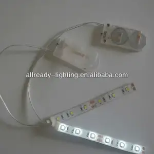 CE &RoHS Approved 6V button cell battery powered SMD 3528 smd5050 Led Flexible strip IP68