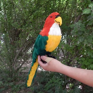 Trang Trí Nhà Và Vườn Thú Lông Thú Đầy Màu Sắc Vẹt Taxidermy Bức Tượng Trang Trí - Product Image 5