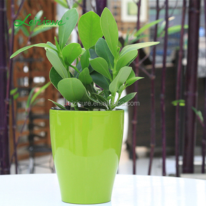 Venta caliente sistemas de cultivo hidropónico interior mini colorido decoración flor en maceta y planta auto riego maceta de plástico - Product Image 1