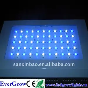 Có Thể Điều Chỉnh Độ Sáng 10000K-14000K Hai Công Tắc Đèn Led Hồ Cá Công Suất Cao 120W