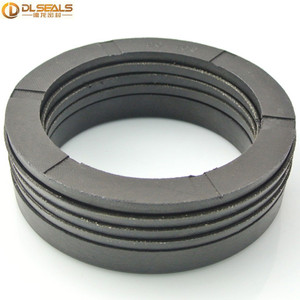 Interpump Ws201 물개를 위한 직물 V 패킹 물개를 가진 무거운 예비 품목 Nbr Fkm - Product Image 3