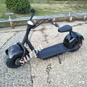 1500w 60v 12ah lithium battery removable city coco vintage electric scooter/retro/classic/e scooter/snow vehicle