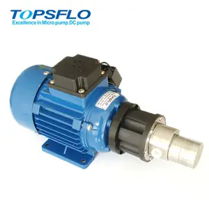 TOPSFLO 220VAC Pompa Penggerak Magnetik