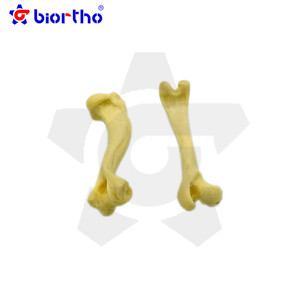 Instrumentos ortopédicos modelo de osso do filhote de cachorro - Product Image 4