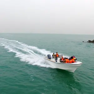 Liya 19ft 22ft profondo scollo a v panga barca barca da pesca in vendita in australia