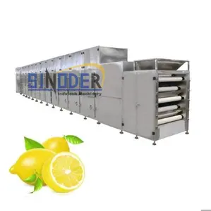 spice drying machine/fruit vegetable chips dryer/commercial food dehydrator machine