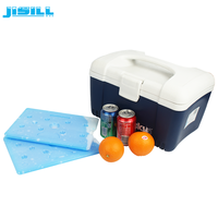Sac isotherme réutilisable en plastique PCM (matériau à changement de phase) pour le stockage de médicaments, glacière, boîte à glace, brique de glace