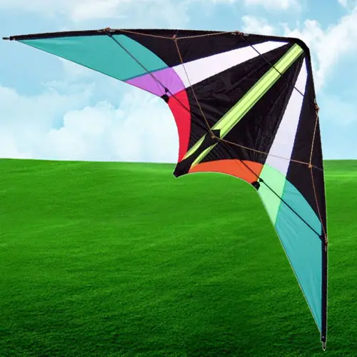 Training Dual Line Stunt Kite