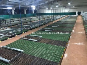 Chuồng đẻ heo nhựa, sàn nan bán - Product Image 6