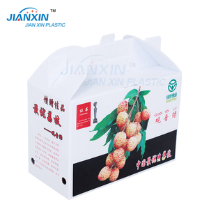 Custom Recyclable Corrugated Plastic Fruit Box With Handle