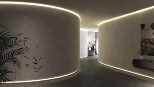 2019 Phong Cách Mới Tùy Chỉnh Bề Mặt Gắn Cong Nhôm Linh Hoạt Hồ Sơ Led - Product Image 6