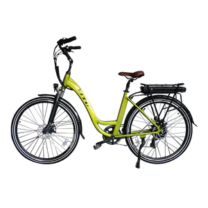 Vendita all'ingrosso bici adulti donna-36v / 48v 250w 350w 500w batteria portapacchi posteriore batteria per adulti donne drive motore del mozzo città bici elettrica