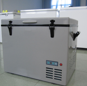 45L 55L Dc 12v <strong>Fridge</strong> Portable Compressor Car <strong>Fridge</strong> Freezer <strong>Camping</strong> <strong>Fridge</strong> - Product Image 3