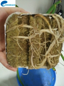 Landbouw Hydrocultuur Steenwolblokken Voor Aanplant - Product Image 3
