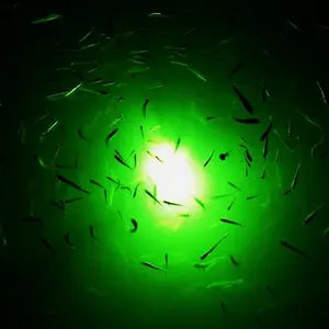 Ip68 Float Underwater 1500W Led Fish Light zum Anlocken von Fischen