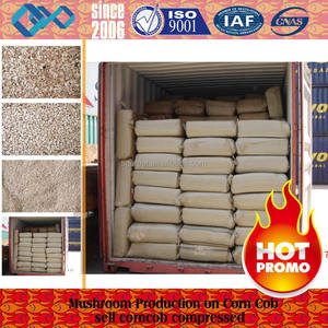 Vender de la mazorca de maíz comida anacardo cáscara de bambú pinchos - Product Image 4