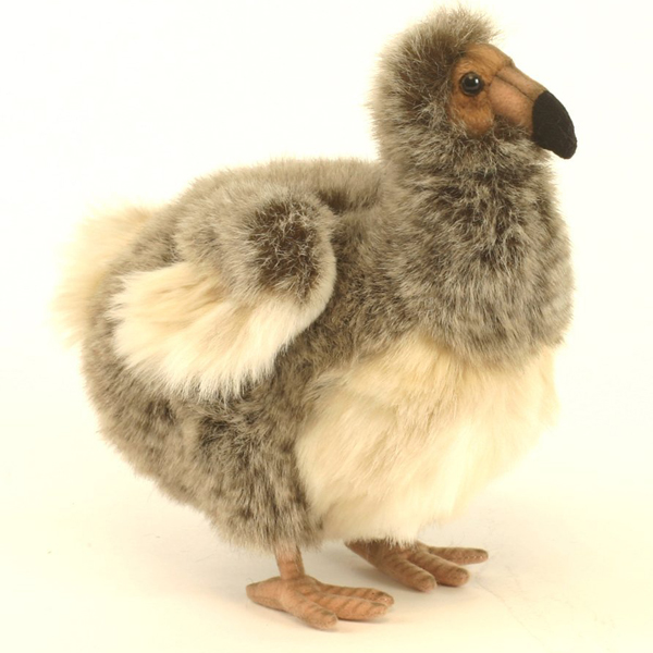 Brinquedo de pelúcia macia, brinquedo de pelúcia macio elegante, modelos de kiwi bird em miniatura