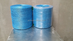 Bán Hot Nông Nghiệp Pp Raffia Cà Chua Baler Twine - Product Image 6