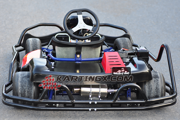 安定した品質の200cc大人用ガソリンレーシングゴーカート/カート（大人