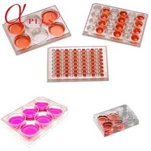 لوازم مختبر البلاستيك القابل للتصرف 96 بئر لوحة زراعة الخلايا الأنسجة - Product Image 6