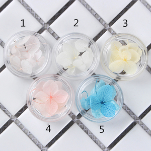 12 colores de <span class=keywords><strong>uñas</strong></span> de arte decoración de flor natural seca para UV gel acrílico - Product Image 6