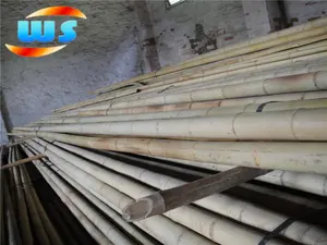 Bamboo Poles Import Moso Bamboo Pole