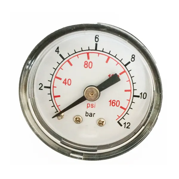 Back Mounting Custom Specifications 150 psi 10 bar Pressure Gauge