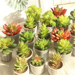 D1075 Mini Pianta Artificiale in Vaso Succulenta all'Ingrosso - Product Image 1