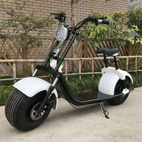 Scooter Électrique Citycoco 2000W à Grandes Roues, Machine de Haute Qualité, Vente Chaude, par un Fournisseur Gold Plus