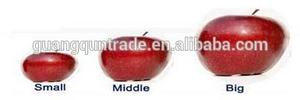 Niveleuse de fruits à bas prix pour trieuse de fruits - Product Image 6