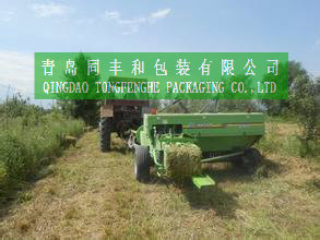 Ensilaje heno <span class=keywords><strong>guita</strong></span> <span class=keywords><strong>cuerda</strong></span> PP - Product Image 6