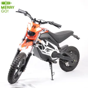 Cheap 750W Middle Driver Dirt Electric Motorcycle