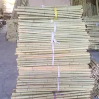 FD-Bamboe palen voor tuin plant/Bouw Grade Bamboe Polen
